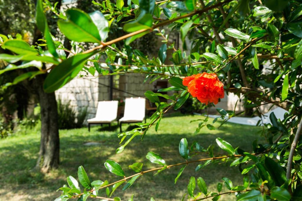 Lake House La Gemma Riva del Garda Ngoại thất bức ảnh